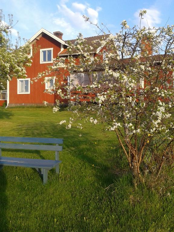 Вилла Dagmarsgardens Stuguthyrningen Kullsbjorken Экстерьер фото